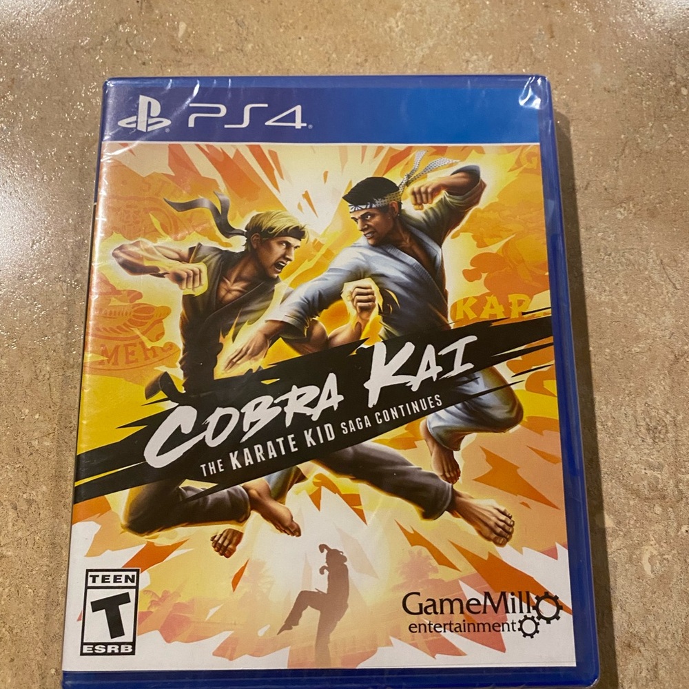 Cobra Kai: The Karate Kid Saga Continues - PS4 Game